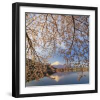 Japan, Yamanashi Prefecture, Kawaguchi-Ko Lake, Mt Fuji and Cherry Blossoms-Michele Falzone-Framed Photographic Print