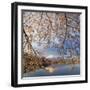 Japan, Yamanashi Prefecture, Kawaguchi-Ko Lake, Mt Fuji and Cherry Blossoms-Michele Falzone-Framed Photographic Print