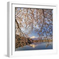 Japan, Yamanashi Prefecture, Kawaguchi-Ko Lake, Mt Fuji and Cherry Blossoms-Michele Falzone-Framed Photographic Print