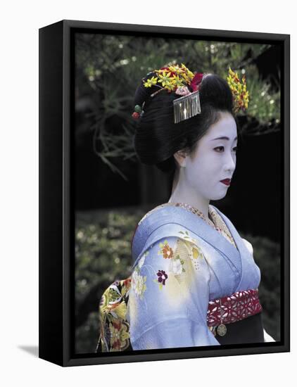 Japan-null-Framed Stretched Canvas