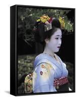 Japan-null-Framed Stretched Canvas