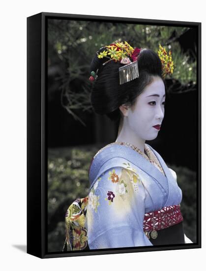 Japan-null-Framed Stretched Canvas