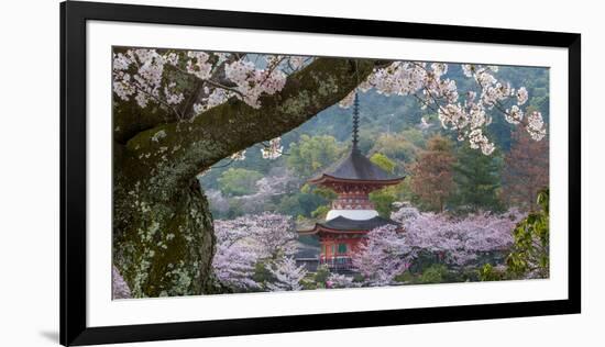 Japan-Art Wolfe-Framed Photographic Print