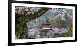 Japan-Art Wolfe-Framed Photographic Print