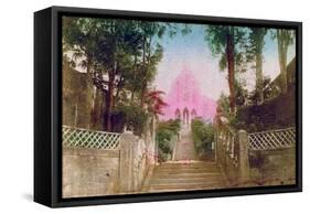 Japan-null-Framed Stretched Canvas