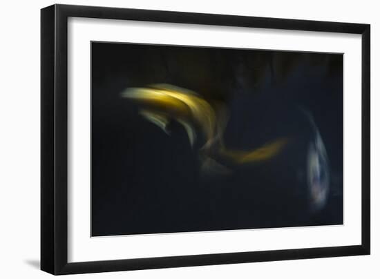 Japanase Colors 5-Moises Levy-Framed Giclee Print