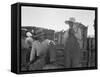 Japanese agricultural workers in California, 1937-Dorothea Lange-Framed Stretched Canvas