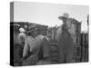 Japanese agricultural workers in California, 1937-Dorothea Lange-Stretched Canvas