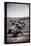 Japanese-American Camp, War Emergency Evacuation-Russell Lee-Stretched Canvas