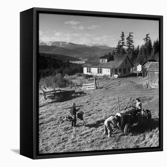 Japanese-American Family Working on their Farm after Returning from Internment Camps-null-Framed Stretched Canvas