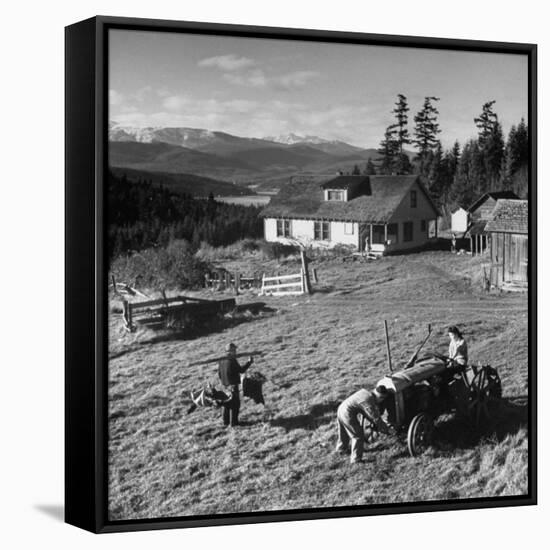 Japanese-American Family Working on their Farm after Returning from Internment Camps-null-Framed Stretched Canvas
