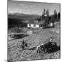 Japanese-American Family Working on their Farm after Returning from Internment Camps-null-Mounted Photographic Print