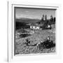 Japanese-American Family Working on their Farm after Returning from Internment Camps-null-Framed Photographic Print