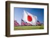 Japanese and Americans Flags during 3000 Flags for 9-11 Tribute-Joseph Sohm-Framed Photographic Print