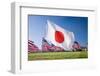 Japanese and Americans Flags during 3000 Flags for 9-11 Tribute-Joseph Sohm-Framed Photographic Print