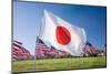 Japanese and Americans Flags during 3000 Flags for 9-11 Tribute-Joseph Sohm-Mounted Photographic Print