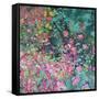 Japanese Anemone-Sylvia Paul-Framed Stretched Canvas