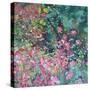 Japanese Anemone-Sylvia Paul-Stretched Canvas