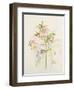Japanese Anemones-Alison Cooper-Framed Giclee Print