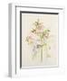 Japanese Anemones-Alison Cooper-Framed Giclee Print