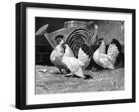 Japanese Bantam Hens, 1890-Carter Beard-Framed Art Print