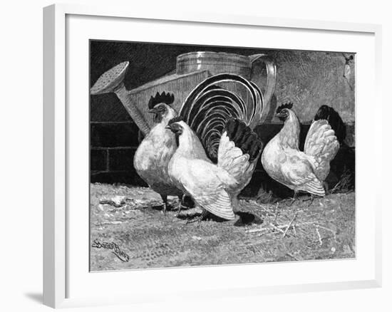 Japanese Bantam Hens, 1890-Carter Beard-Framed Art Print