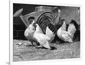 Japanese Bantam Hens, 1890-Carter Beard-Framed Art Print