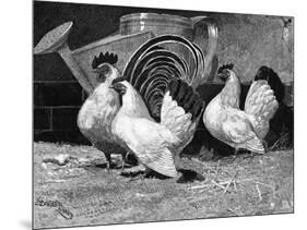 Japanese Bantam Hens, 1890-Carter Beard-Mounted Art Print