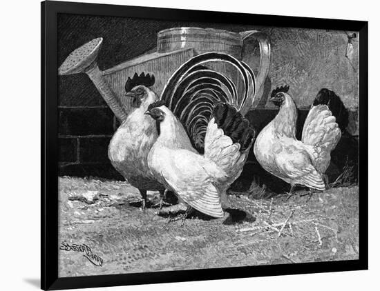 Japanese Bantam Hens, 1890-Carter Beard-Framed Art Print