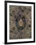 Japanese Beetle 1-Morgan Yamada-Framed Art Print