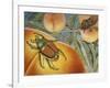 Japanese Beetle (Popillia Japonica), Scarabeidae-null-Framed Giclee Print