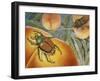 Japanese Beetle (Popillia Japonica), Scarabeidae-null-Framed Giclee Print