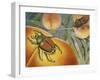 Japanese Beetle (Popillia Japonica), Scarabeidae-null-Framed Giclee Print