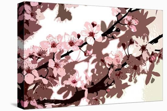 Japanese Blossom-Sarah O'Toole-Stretched Canvas