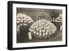 Japanese Bouquets for Sale-null-Framed Art Print