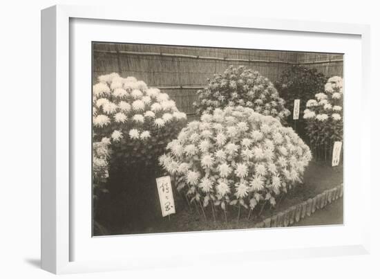 Japanese Bouquets for Sale-null-Framed Art Print