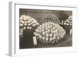 Japanese Bouquets for Sale-null-Framed Art Print