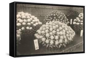 Japanese Bouquets for Sale-null-Framed Stretched Canvas