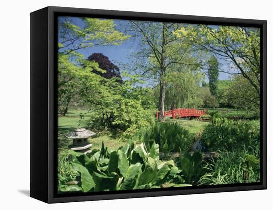 Japanese Bridge, Heale House Gardens, Middle Woodford, Wiltshire, England, United Kingdom-Chris Nicholson-Framed Stretched Canvas