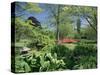 Japanese Bridge, Heale House Gardens, Middle Woodford, Wiltshire, England, United Kingdom-Chris Nicholson-Stretched Canvas