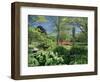 Japanese Bridge, Heale House Gardens, Middle Woodford, Wiltshire, England, United Kingdom-Chris Nicholson-Framed Photographic Print