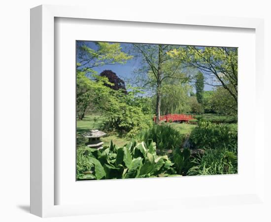 Japanese Bridge, Heale House Gardens, Middle Woodford, Wiltshire, England, United Kingdom-Chris Nicholson-Framed Photographic Print