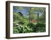 Japanese Bridge, Heale House Gardens, Middle Woodford, Wiltshire, England, United Kingdom-Chris Nicholson-Framed Photographic Print