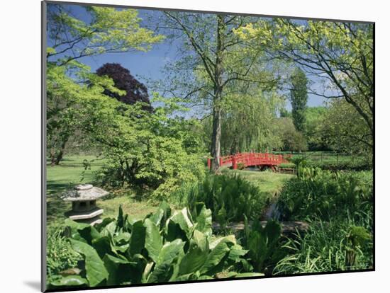 Japanese Bridge, Heale House Gardens, Middle Woodford, Wiltshire, England, United Kingdom-Chris Nicholson-Mounted Photographic Print