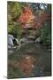 Japanese Bridge in Momijidani Park (Japanese Maple Park) in Autumn-Stuart Black-Mounted Photographic Print