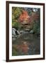 Japanese Bridge in Momijidani Park (Japanese Maple Park) in Autumn-Stuart Black-Framed Photographic Print