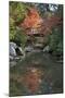 Japanese Bridge in Momijidani Park (Japanese Maple Park) in Autumn-Stuart Black-Mounted Photographic Print