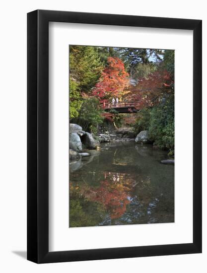 Japanese Bridge in Momijidani Park (Japanese Maple Park) in Autumn-Stuart Black-Framed Photographic Print