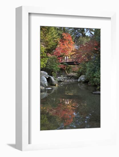 Japanese Bridge in Momijidani Park (Japanese Maple Park) in Autumn-Stuart Black-Framed Photographic Print