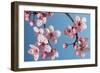 Japanese Bush Cherry-null-Framed Photographic Print